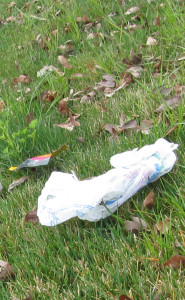 litter