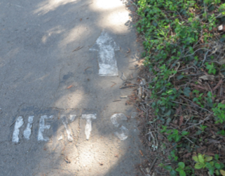 DAYS OF FITNESS PAST: Almost nothing remains of the old Par Course trail now. What's left is slowly being reclaimed by campus foliage. PHOTO BY CHRIS HOWZE